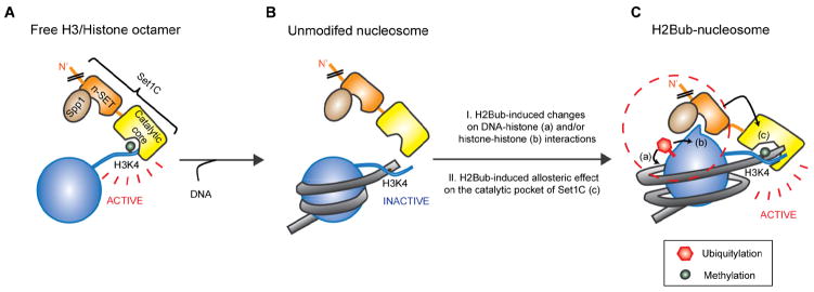 Figure 7