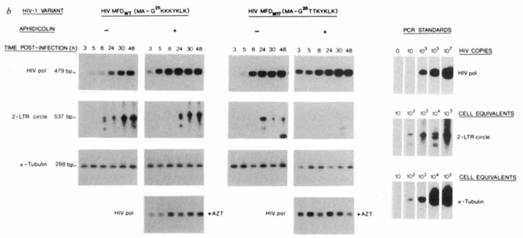 FIG. 4