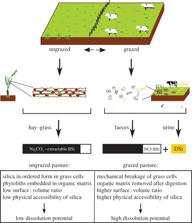 Figure 2.