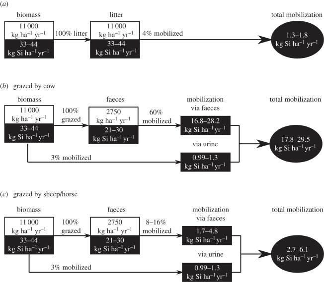 Figure 3.