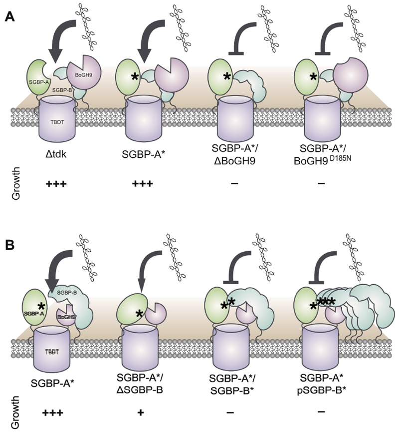 Figure 6: