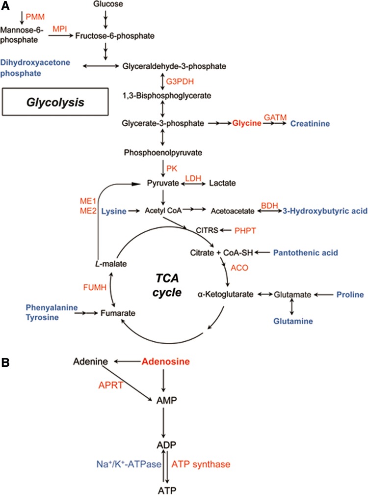 FIG. 4.