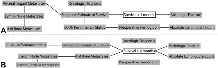 Fig. 2A–B