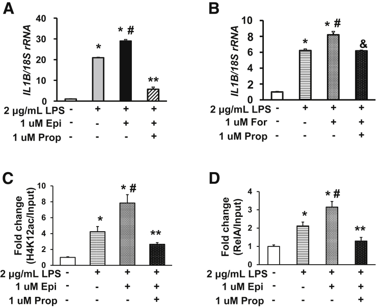 Figure 7