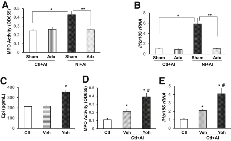 Figure 5