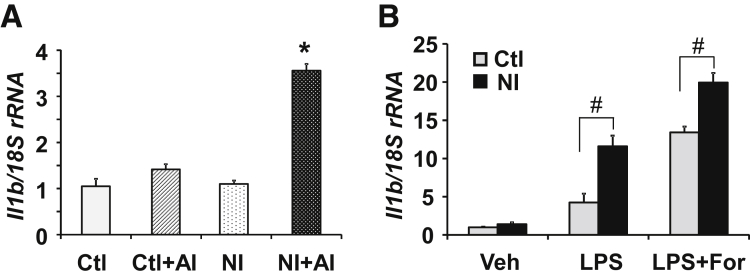 Figure 6