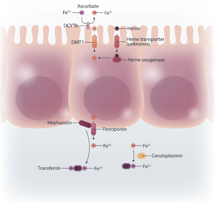 Figure 1.