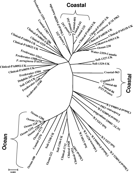 FIG. 4.