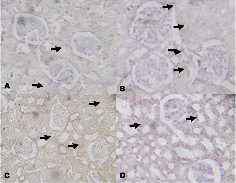 Fig. 9