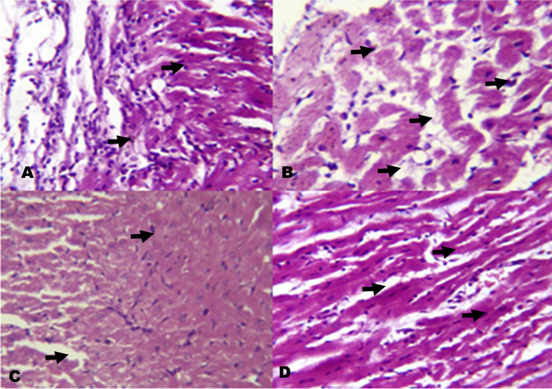 Fig. 13