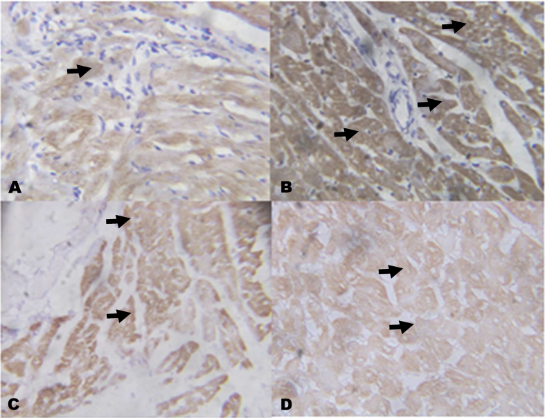 Fig. 10