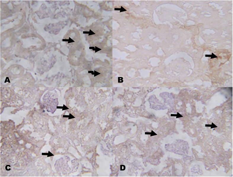 Fig. 8