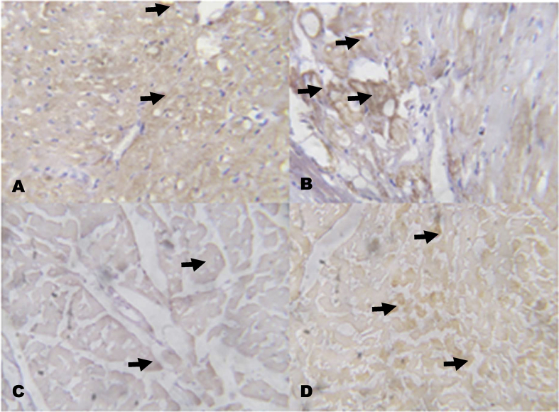 Fig. 11