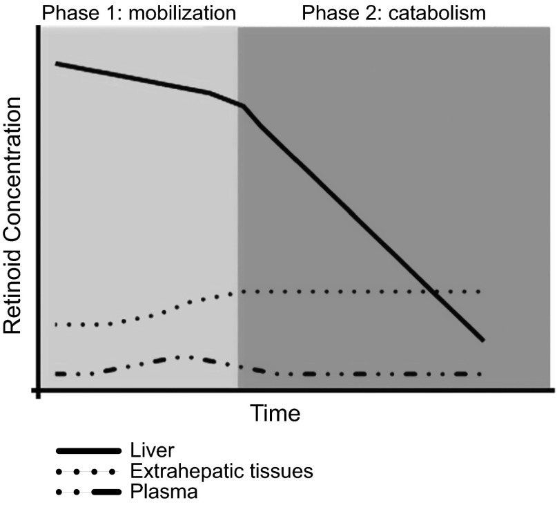 Figure 10.