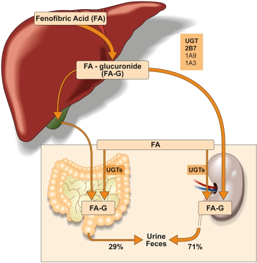 Fig. 6.