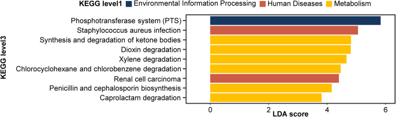 FIG 5