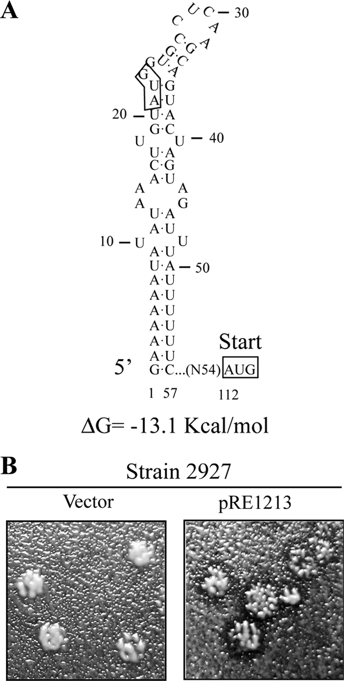 FIG. 6.