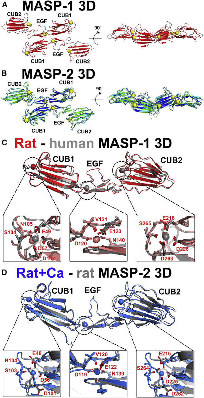 Figure 2