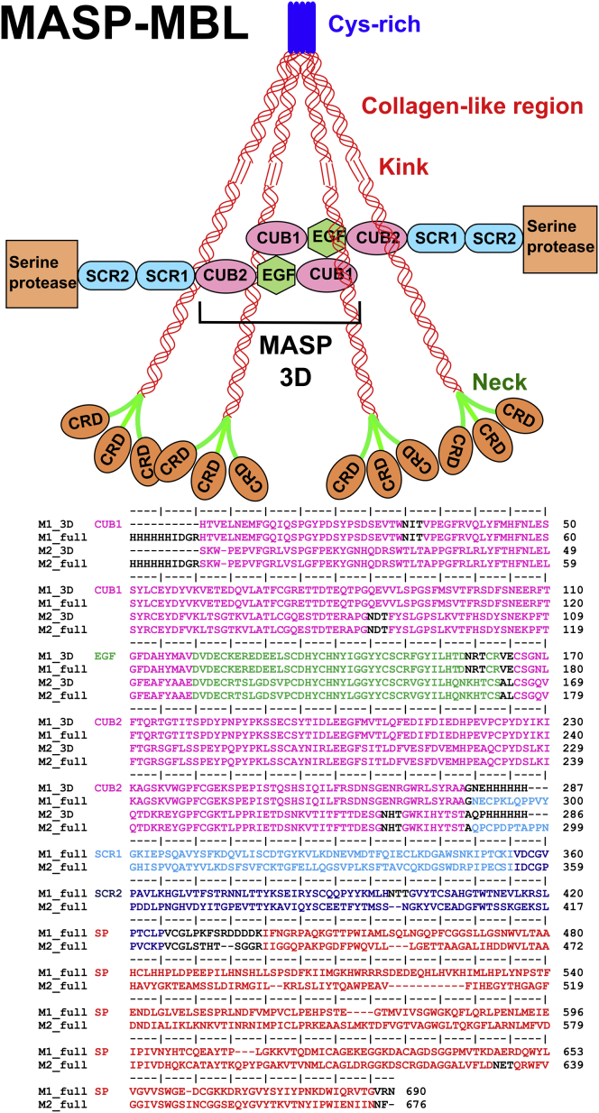 Figure 1