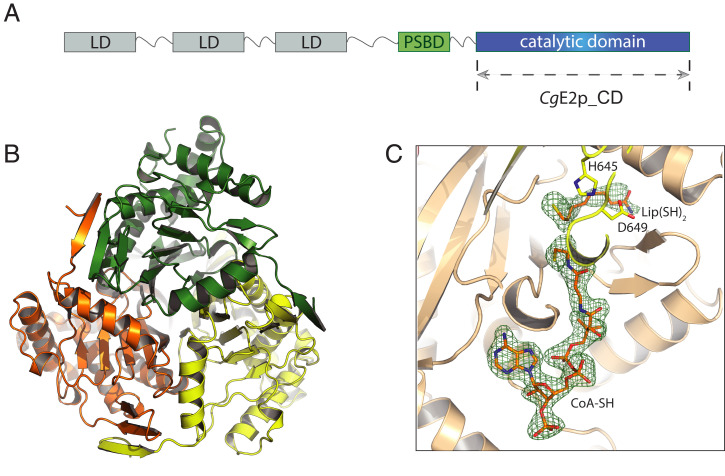 Fig. 1.