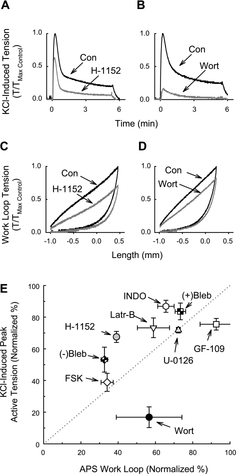 Fig. 9.