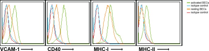 Figure 1—figure supplement 1.