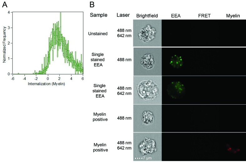 Figure 1—figure supplement 2.