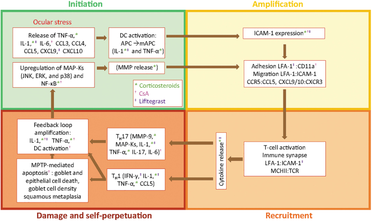 FIG. 3.