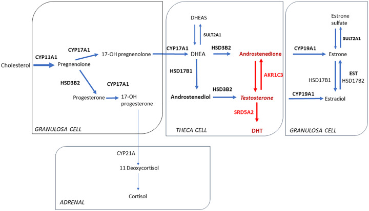 Figure 3.