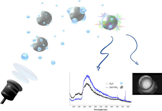 graphic file with name ao1c05837_0009.jpg