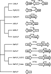 FIG. 6.