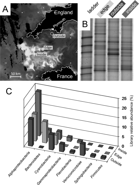 FIG. 1.