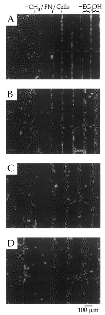 Fig. 16