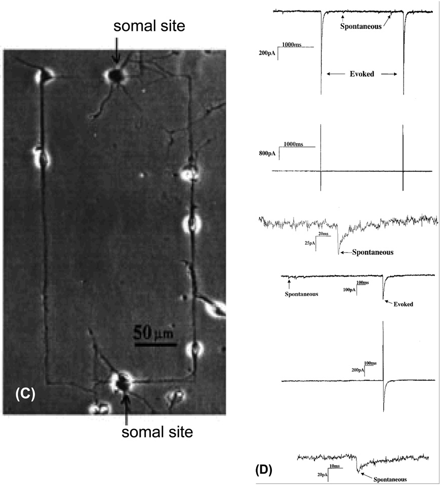 Fig. 9