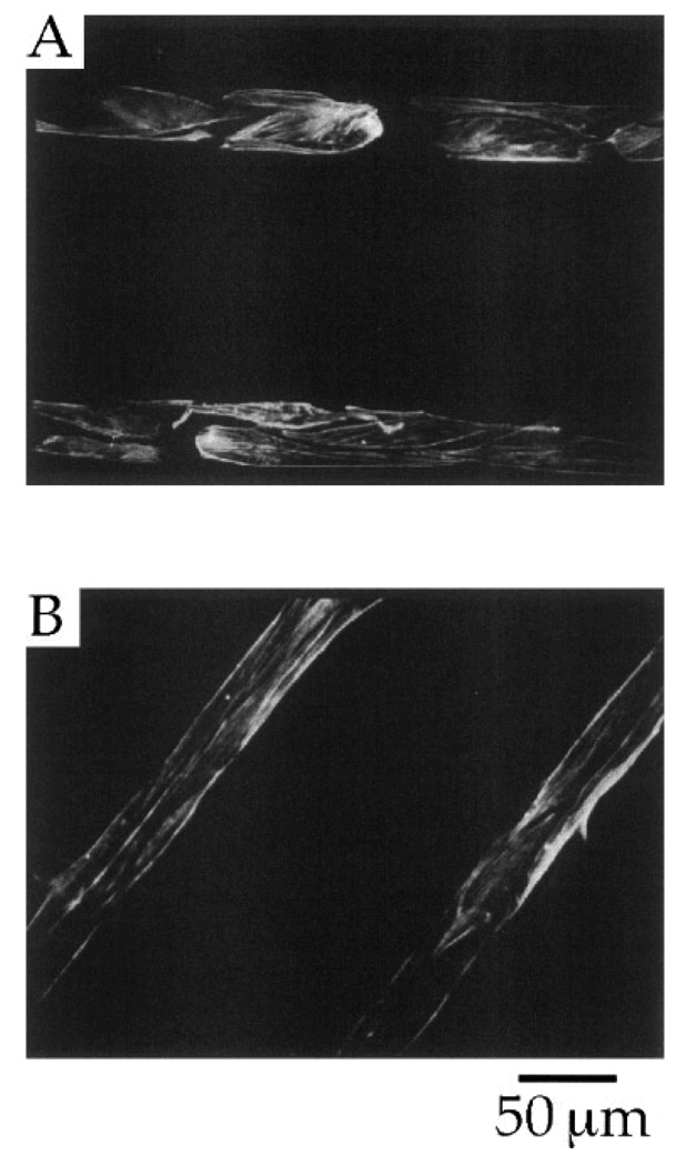 Fig. 17