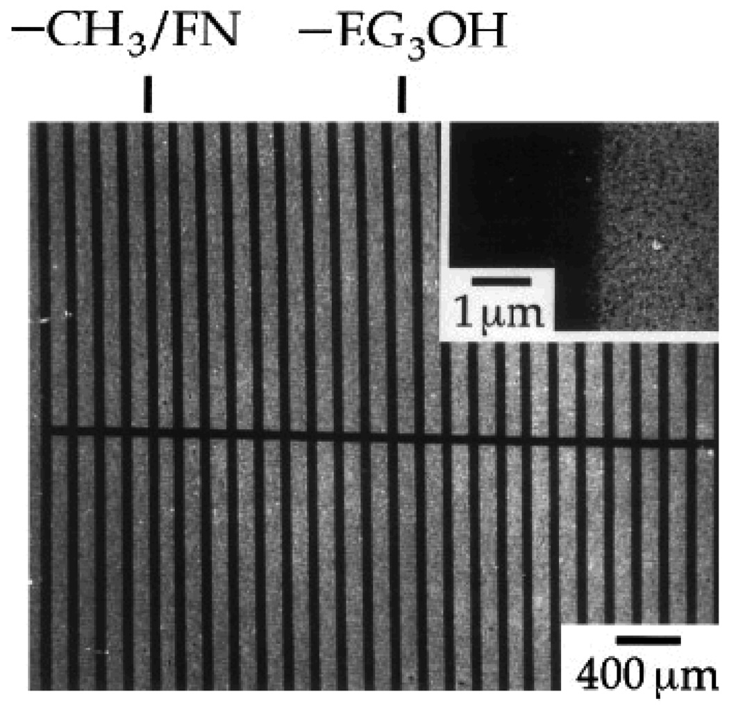 Fig. 15