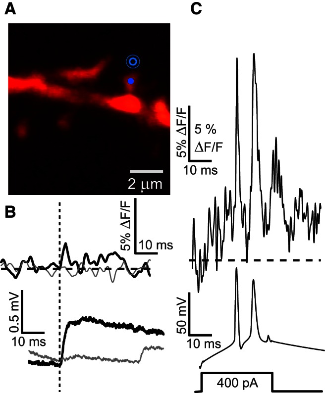 Figure 3.