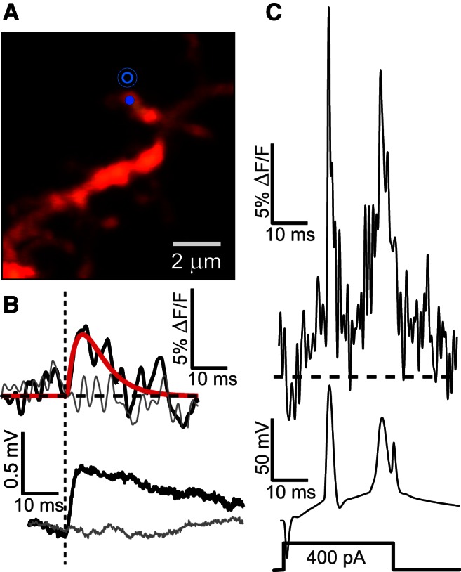 Figure 1.