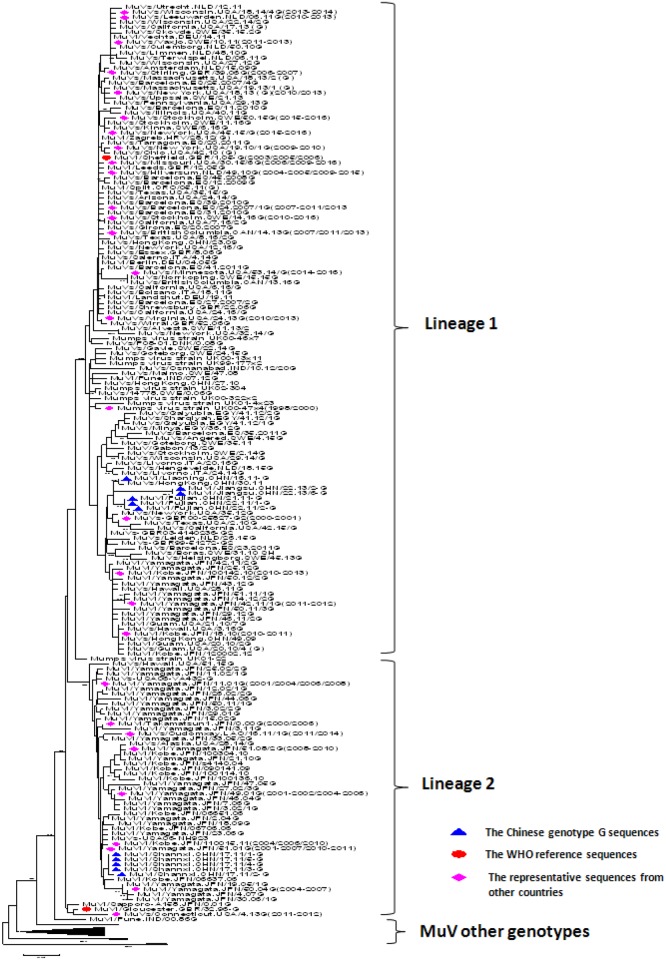 Fig 5