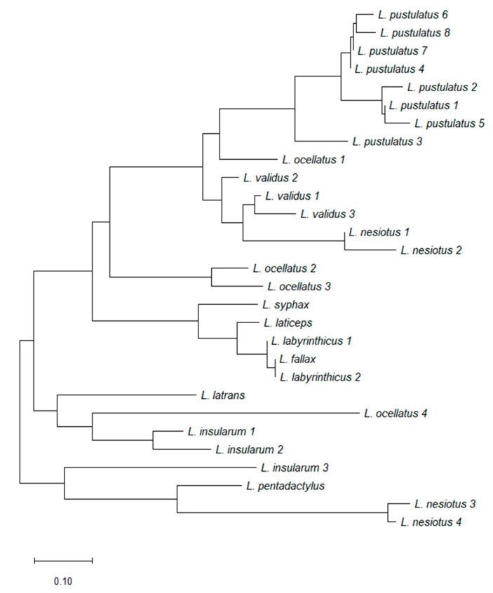 Figure 5