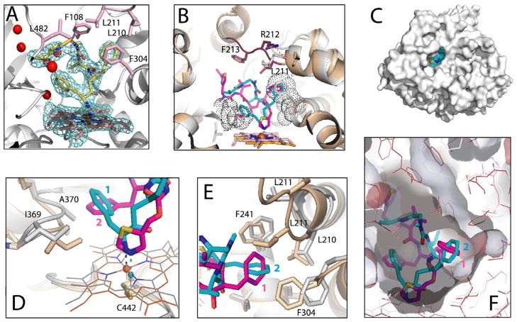 Fig. 8