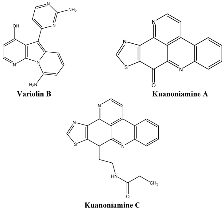 Figure 10