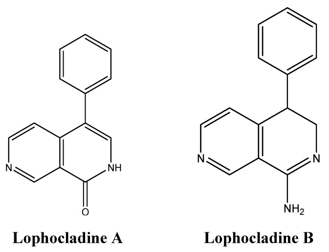 Figure 21