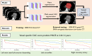 Graphical Abstract