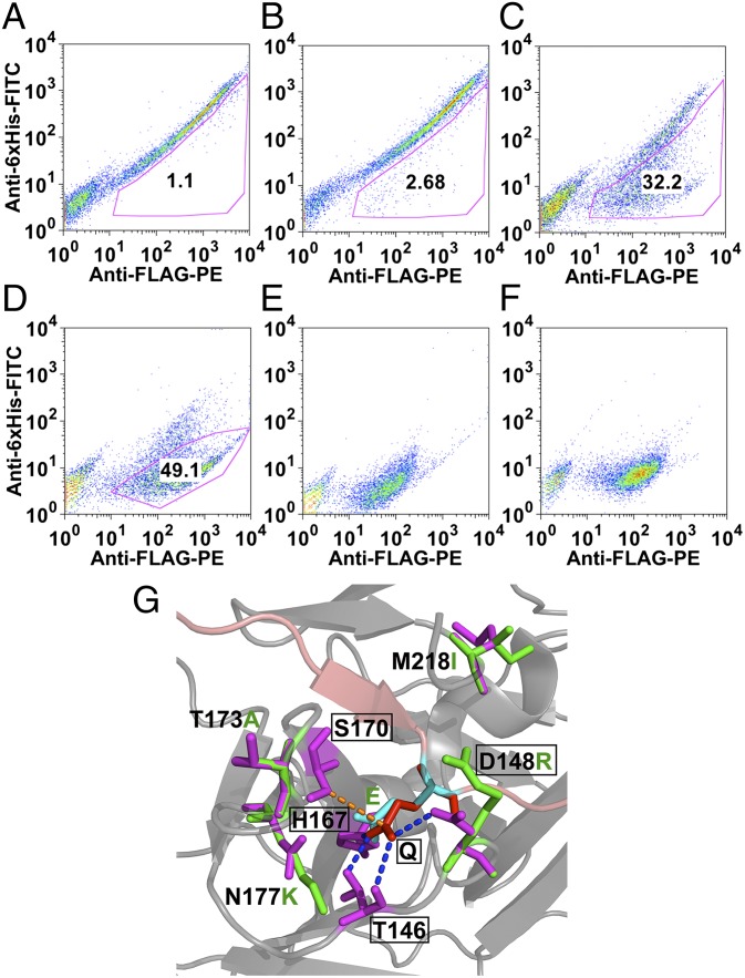 Fig. 3.