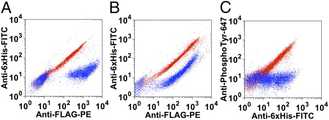 Fig. 5.