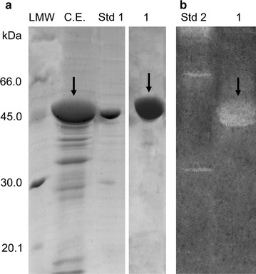 Fig. 3