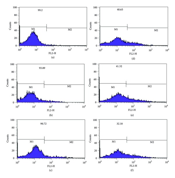 Figure 13