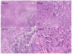 Figure 2 -