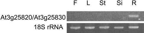 Figure 5.